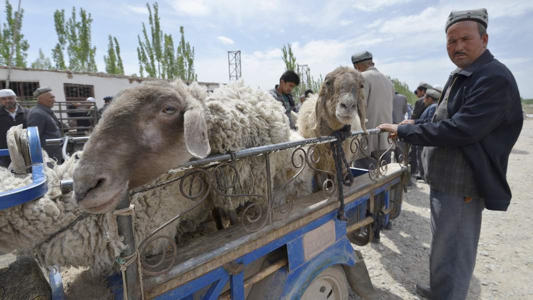 Мужчина-мусульманин, уйгур, продающий овец, Синьцзян, Китай