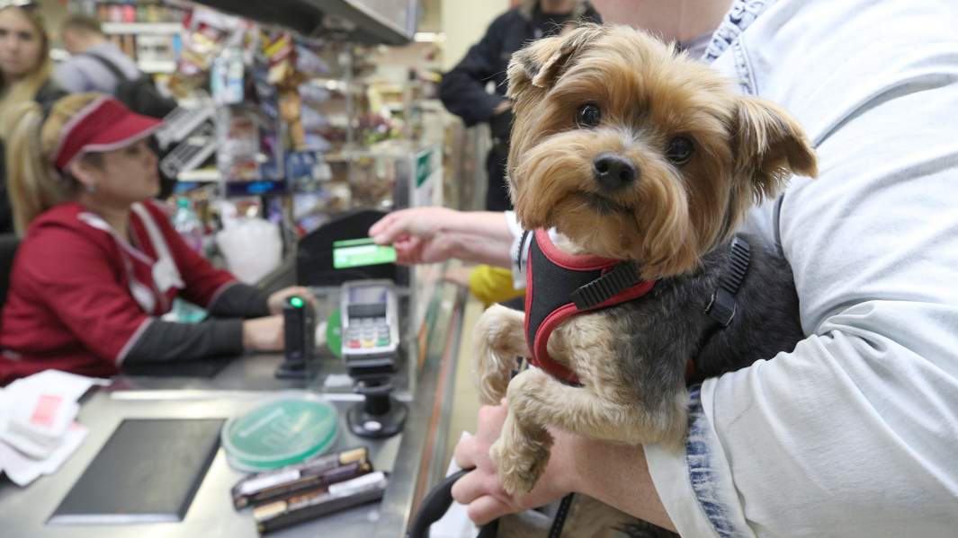 безнал оплата магазин