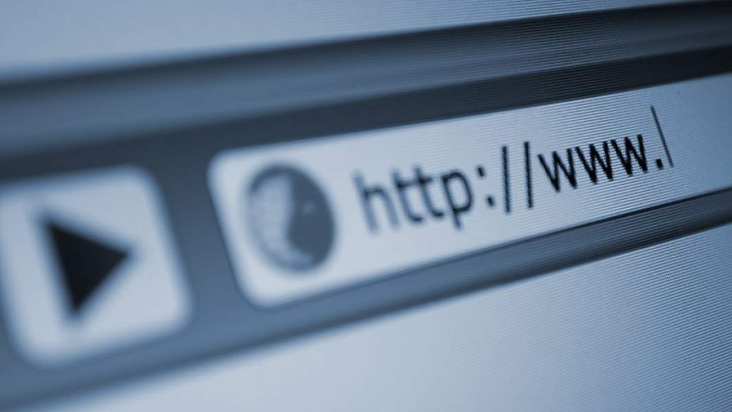 строка поиска 