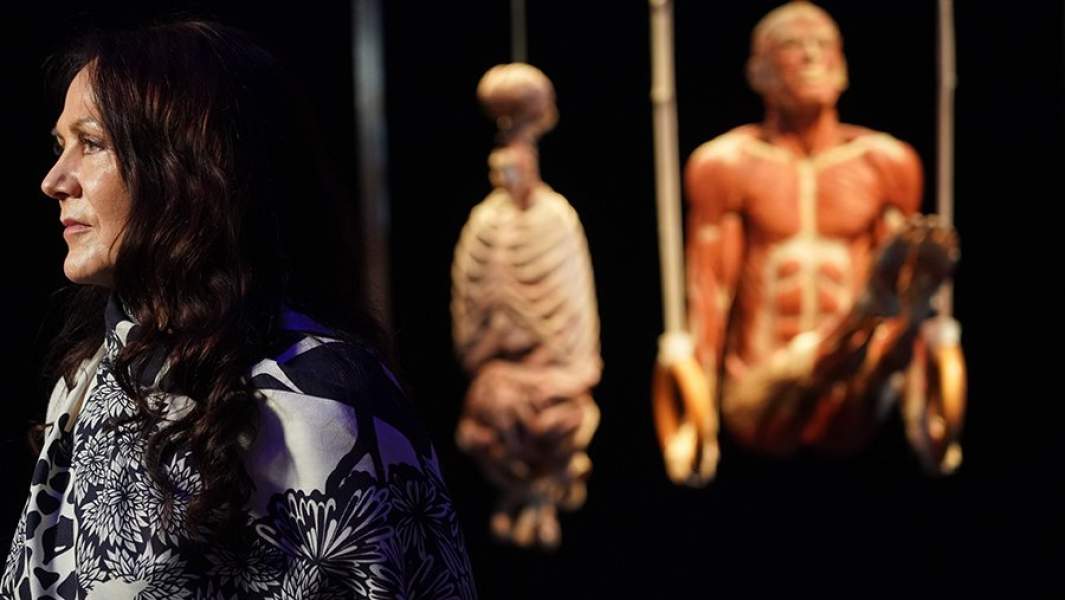 Пресс-показ выставки «Body Worlds» на ВДНХ