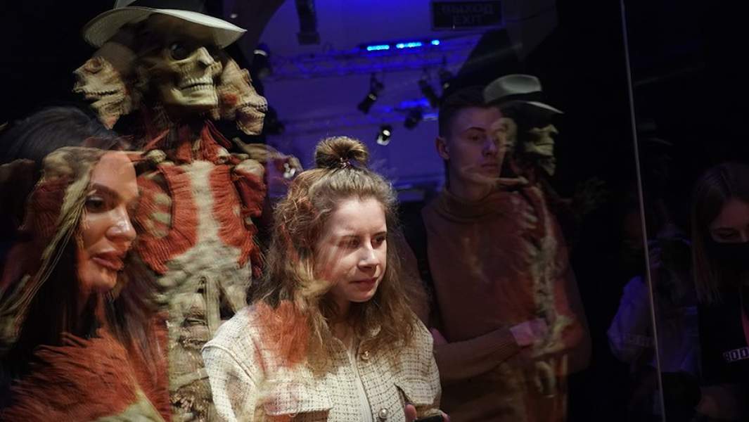 Пресс-показ выставки «Body Worlds» на ВДНХ