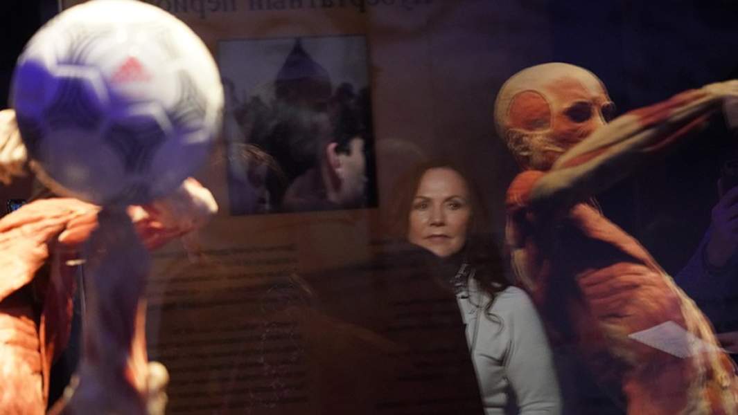 Пресс-показ выставки «Body Worlds» на ВДНХ