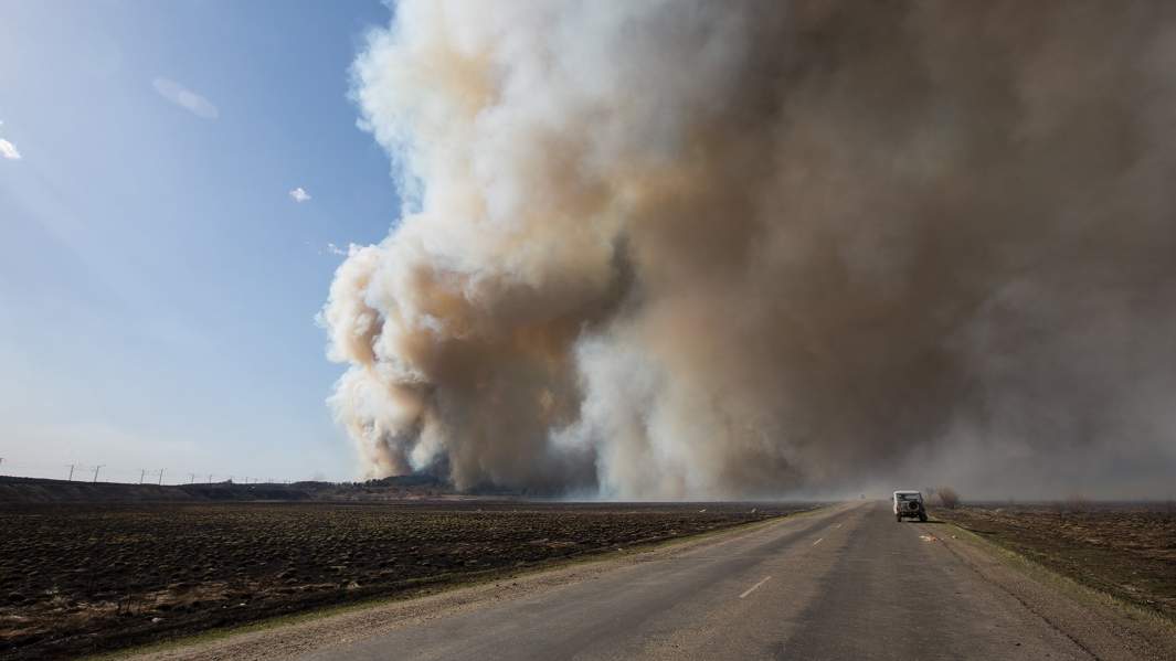 Пал сухой травы