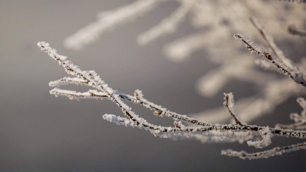 природа байкал