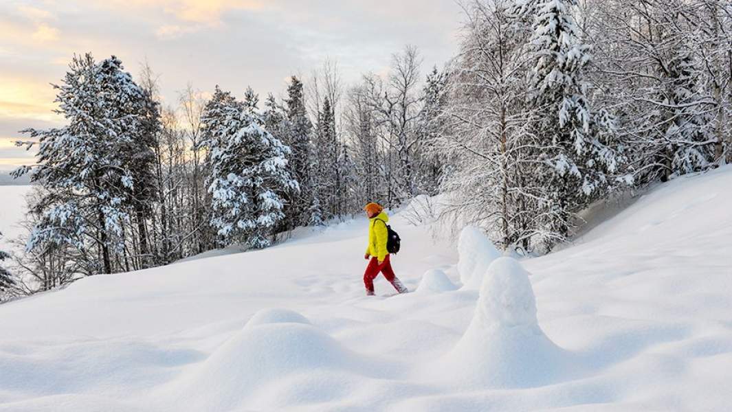 заповедник
