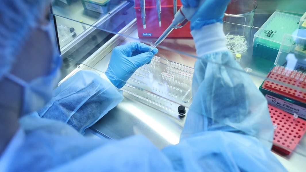 Пей со дна: инфекция у рыб поможет создать лекарство от рака крови