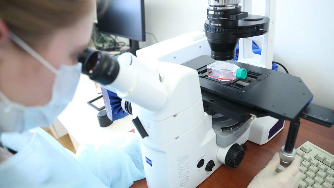 исследование