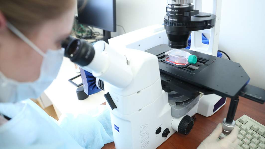 исследование в лаборатории