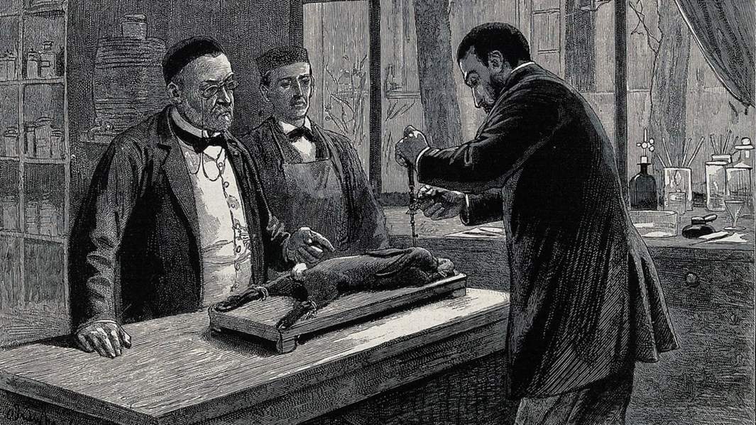 Луи Пастер вводит вирус бешенства в мозг кролика под наблюдением двух помощников 