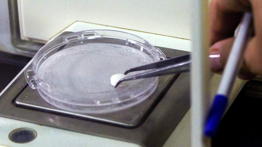 В лаборатории фармпредприятия