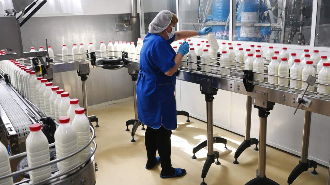 Сотрудница на линии производства молочной продукции