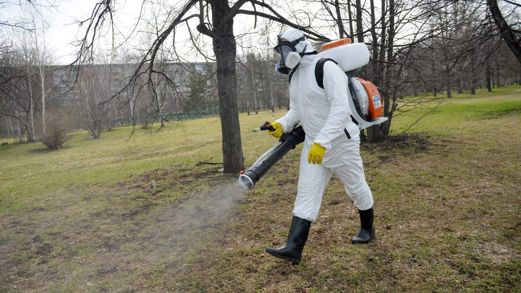 Сотрудник Роспотребнадзора 