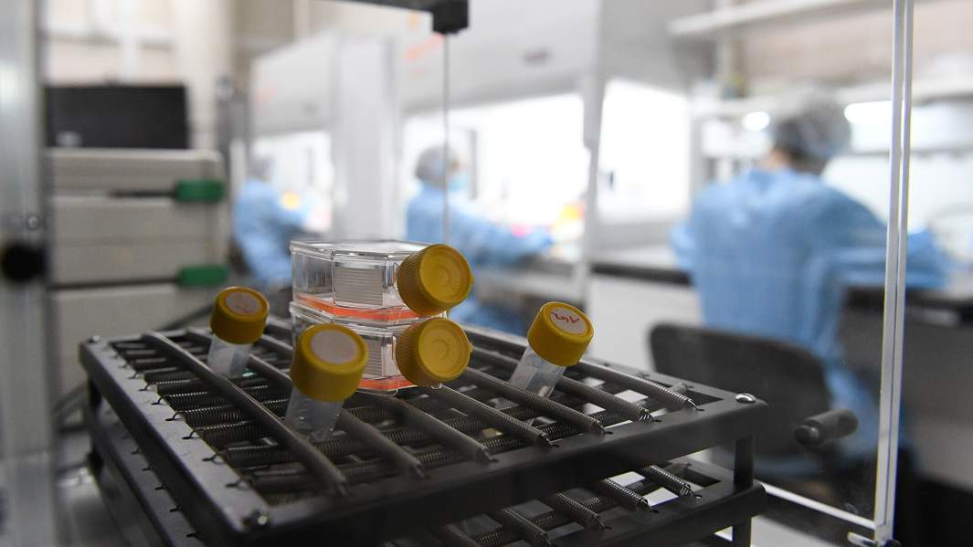 вектор вакцина