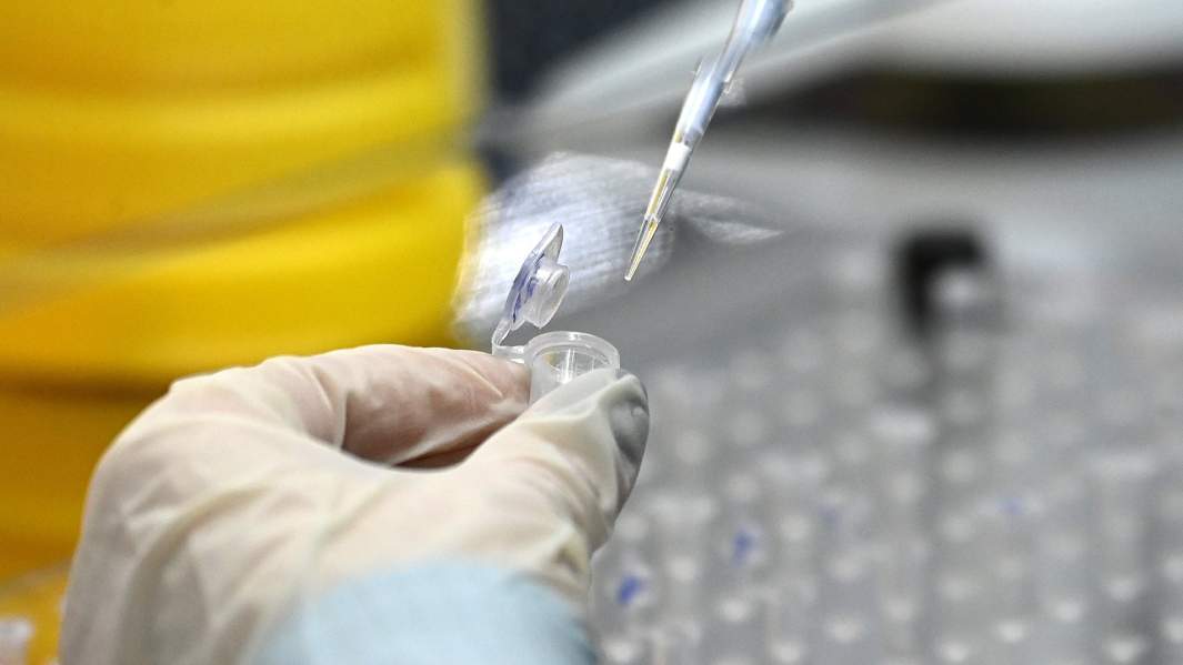 В лаборатории предприятия Государственного научного центра вирусологии и биотехнологии "Вектор" в Новосибирске. Государственный научный центр вирусологии и биотехнологии "Вектор" 