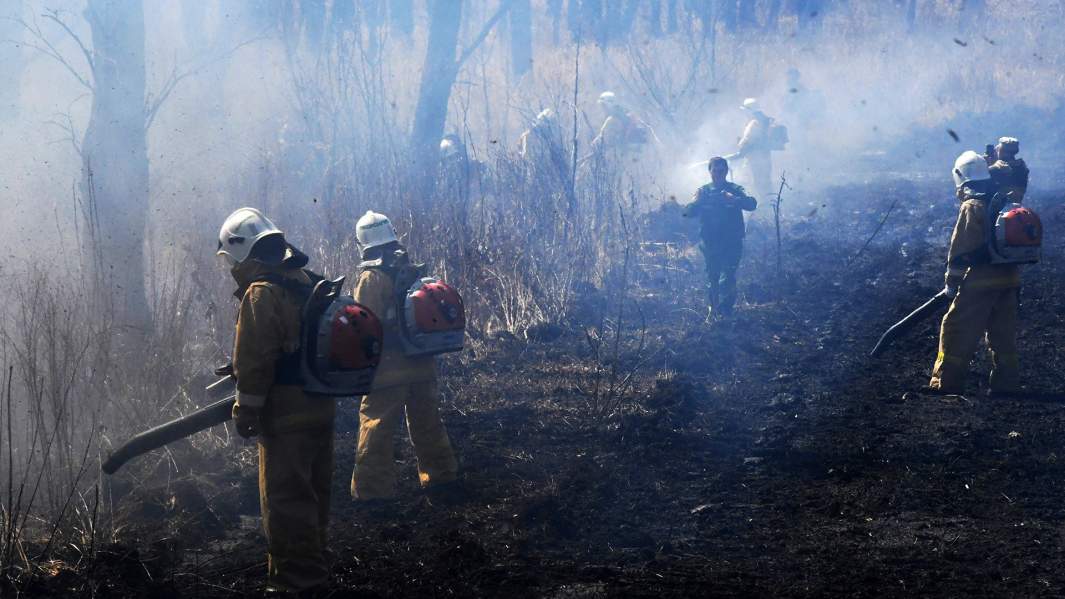 Сотрудники пожарной охраны МЧС РФ