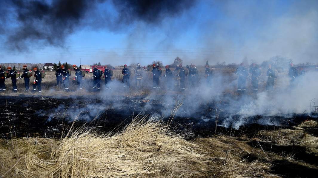 учения по отработке техники тушения лесных пожаров 