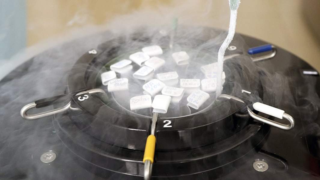 Замороженные в азоте культуры клеток в лаборатории государственного научного центра «Институт иммунологии» ФМБА России