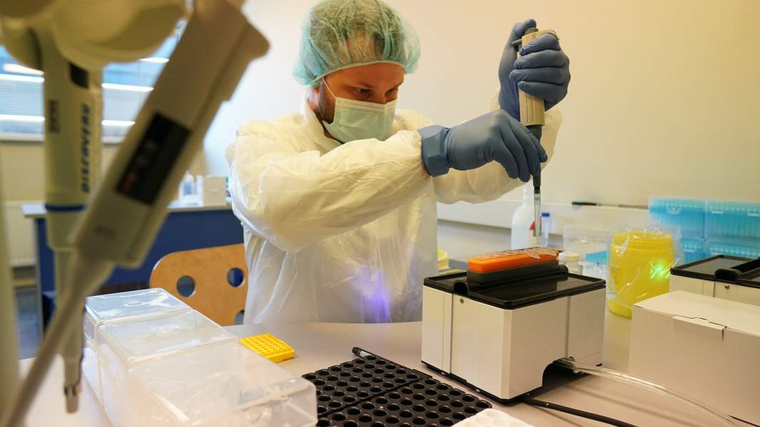 Даром надо: отпускникам предложили компенсировать расходы на ПЦР