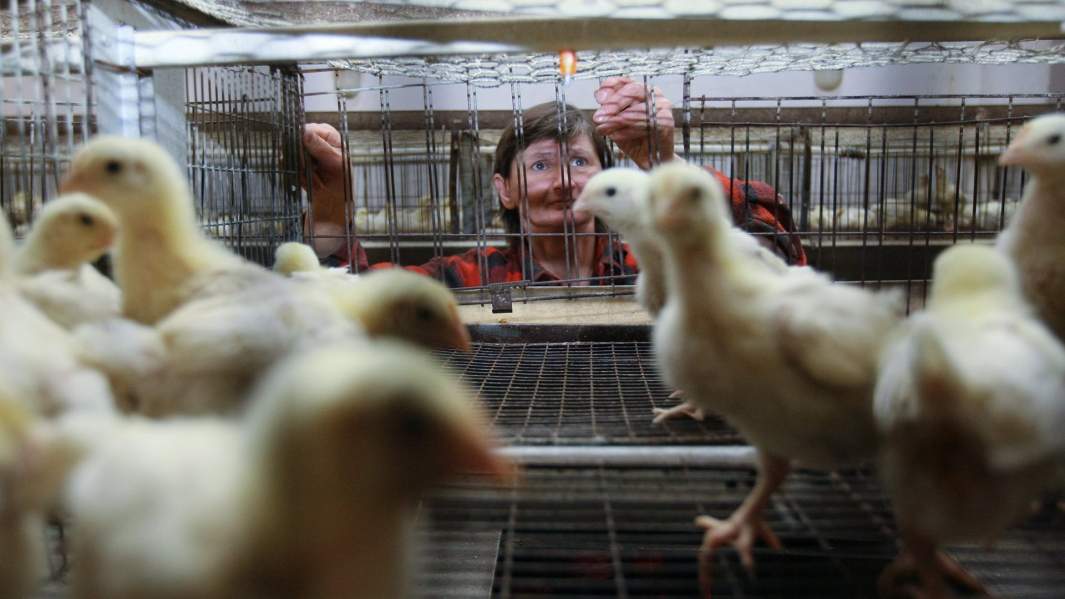 Осужденная на месте работы