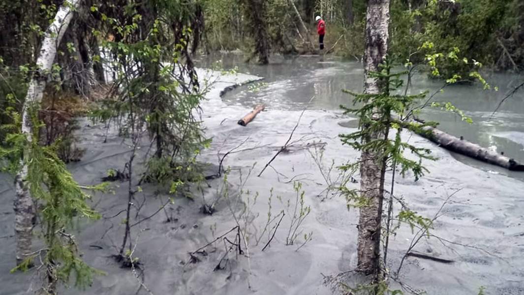 Ручей Домник-Ель