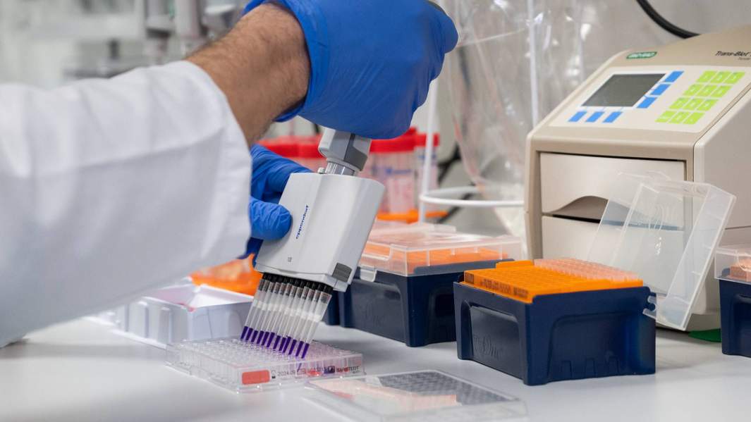 исследования коронавируса в лаборатории