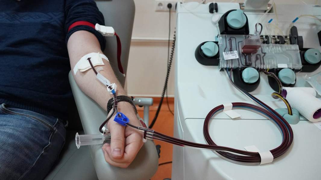 донор крови