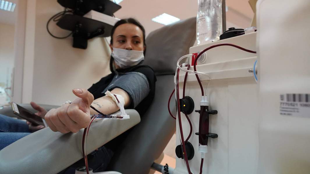 донор крови