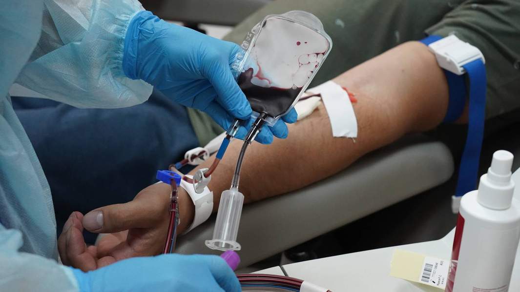 донорство крови