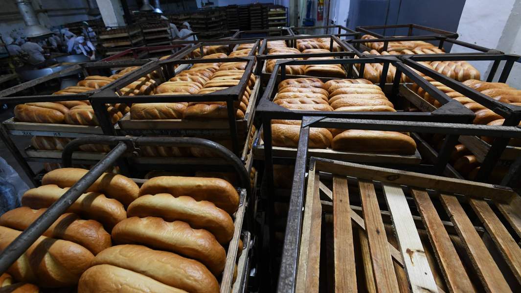 У нас умнеющие