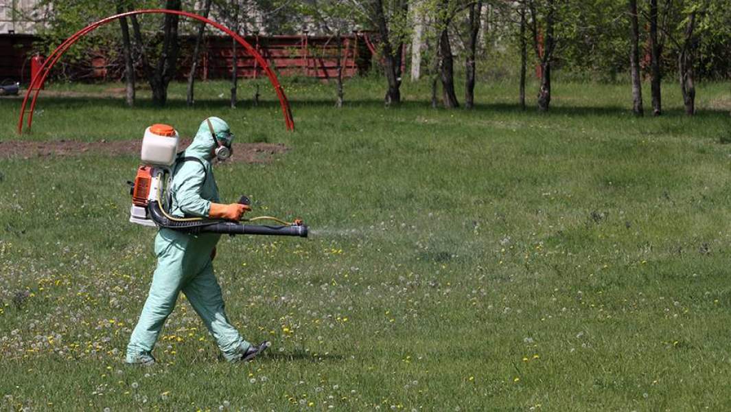 дезинфекция