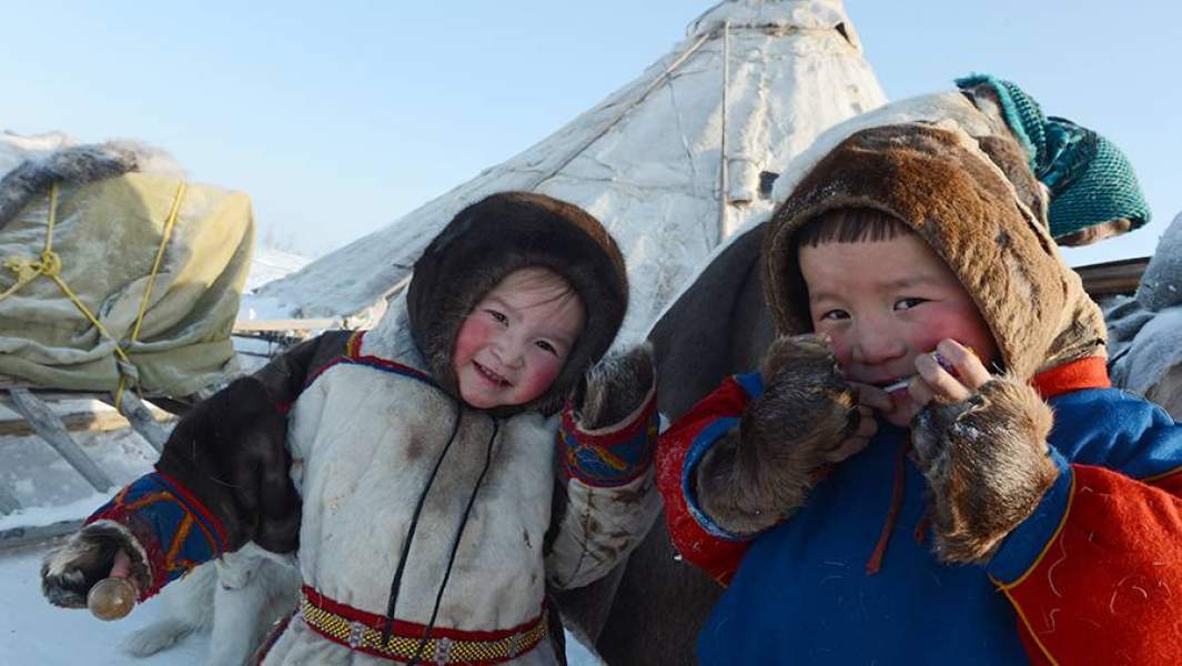 Ненцы оленеводы кочевье