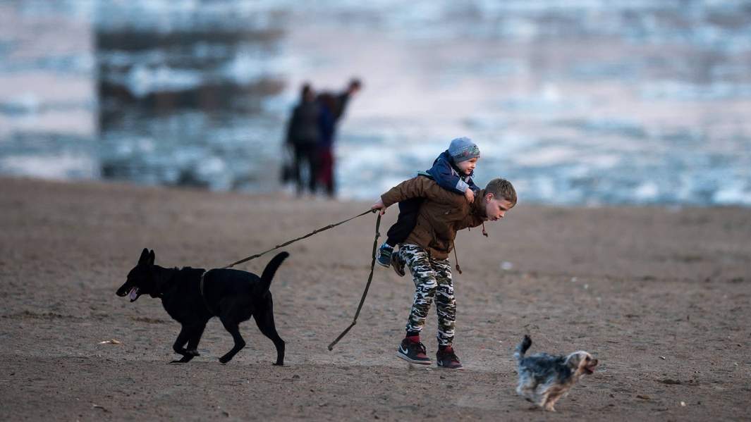 мальчишки гуляют с собаками