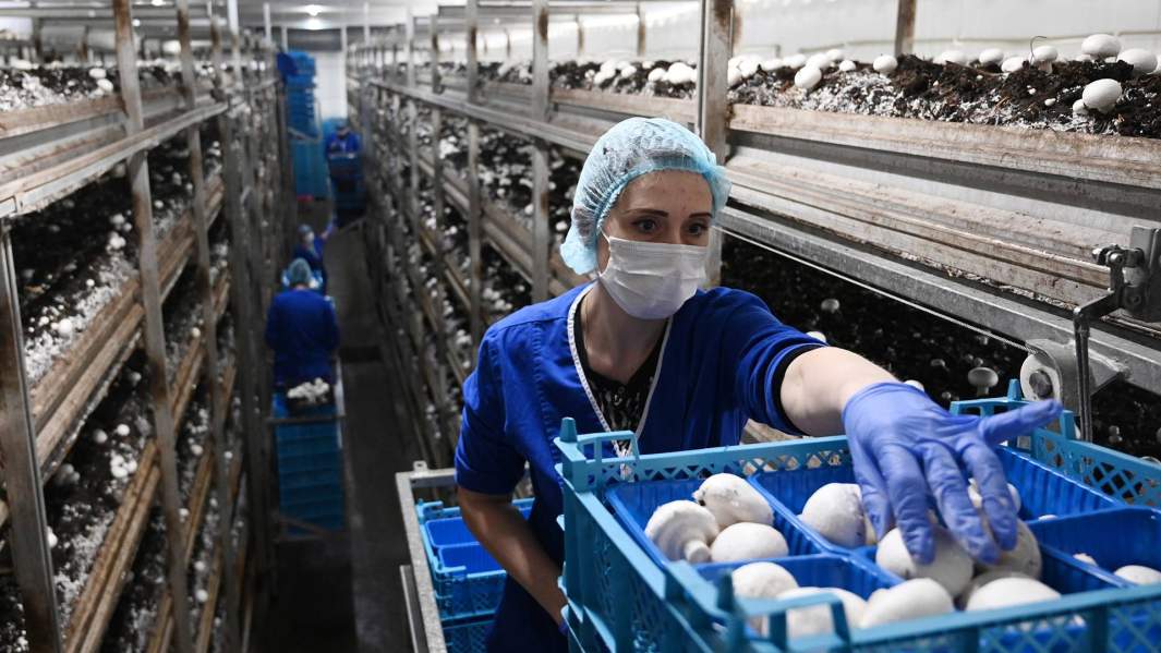 У нас умнеющие