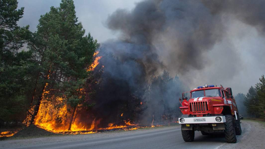 Лесной пожар в Тюменской области