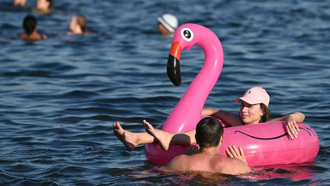 Люди купаются в Строгинском заливе в Москве в жарку погоду