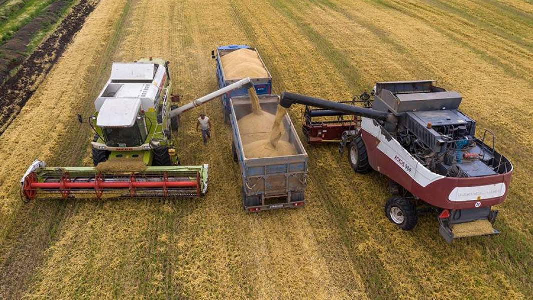 Уборка озимого ячменя на полях Краснодарского края