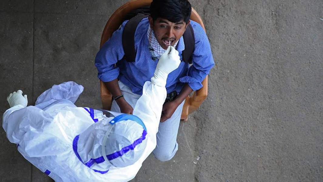 медицинский работник проводит пцр-тест у гражданина Индии