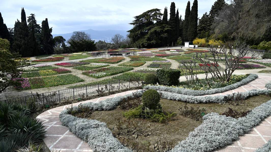 Никитский ботанический сад