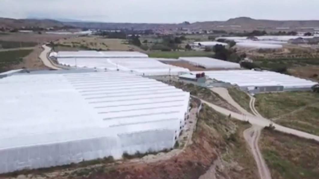 Построенные на кургане теплицы в Дагестане