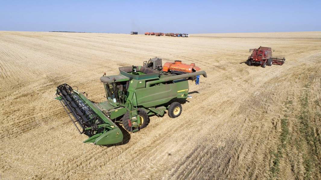 сбор урожая