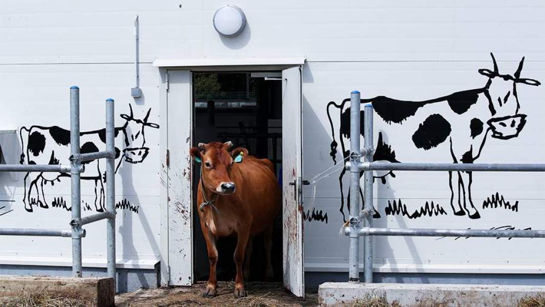 фермерство