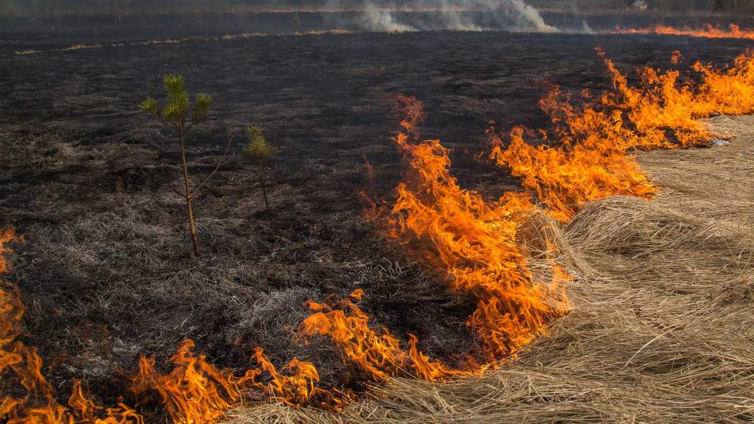 Зной в наших: в европейской части России станет еще жарче