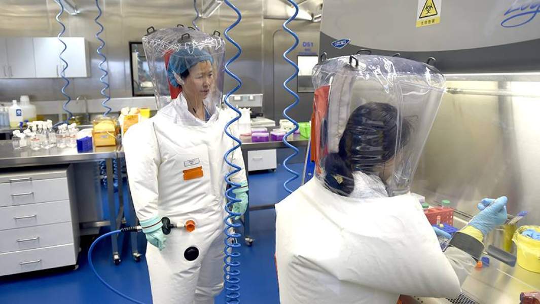Ши Чжэнли в лаборатории Уханьского института вирусологии