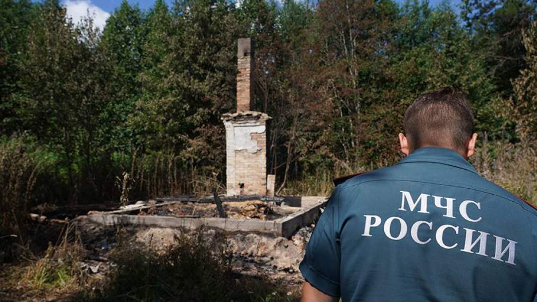 Павел волков фото известия