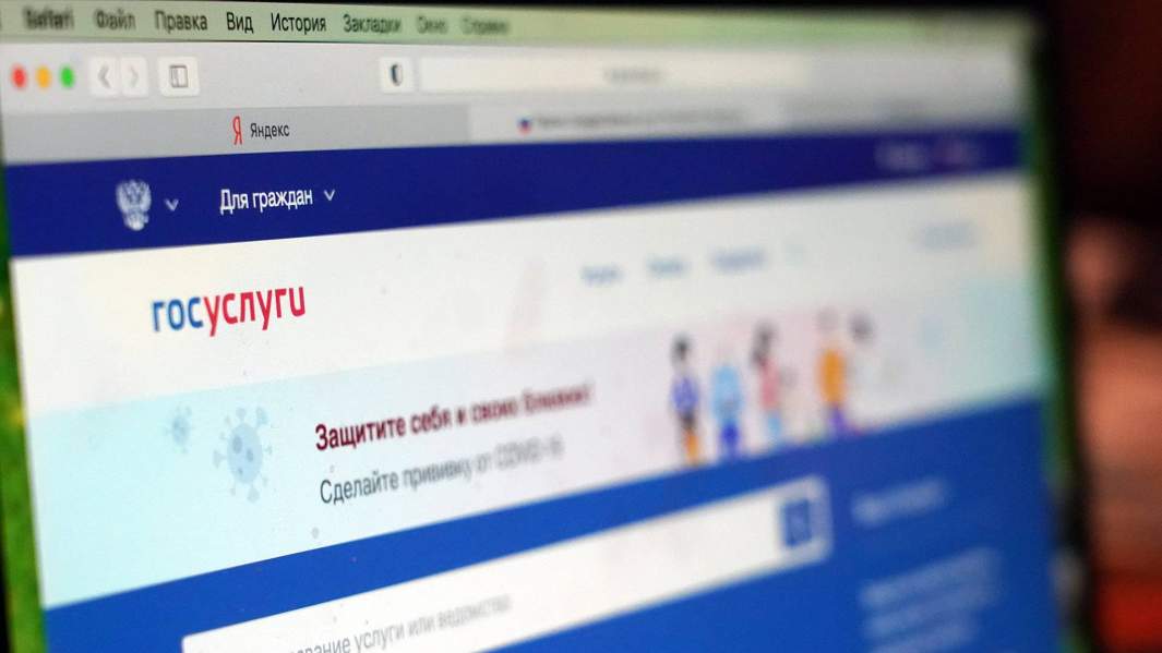 Вышли мне денег: как мошенники наживаются на пособиях россиян