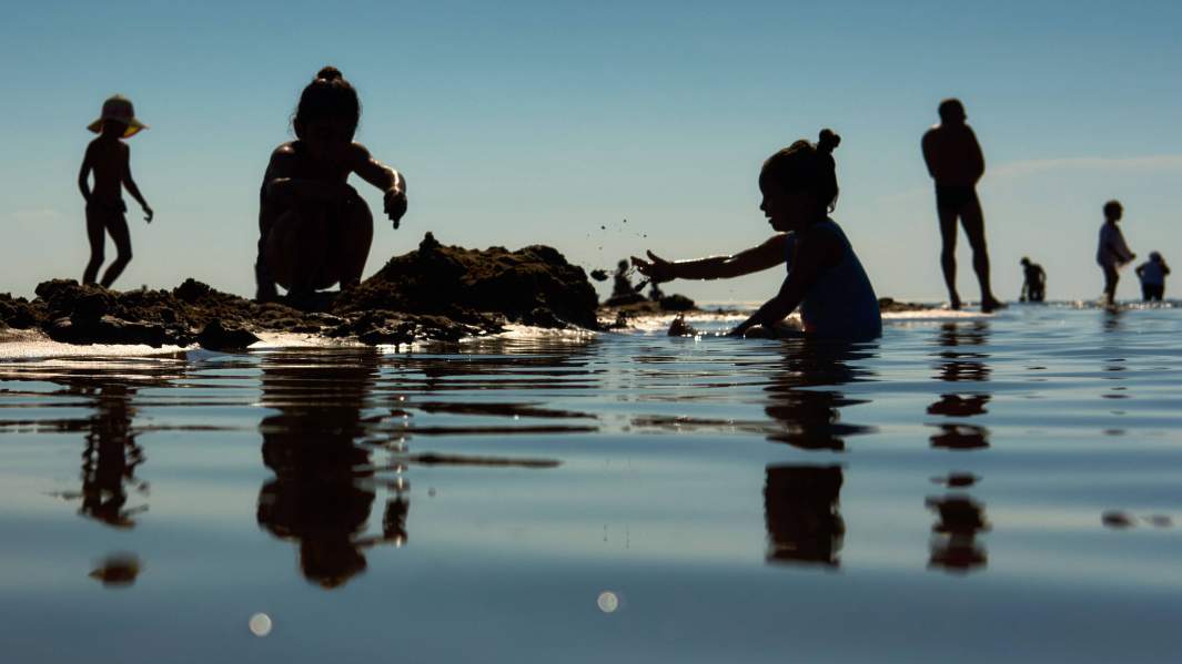 Отдыхающие на берегу Финского залива в Санкт-Петербурге