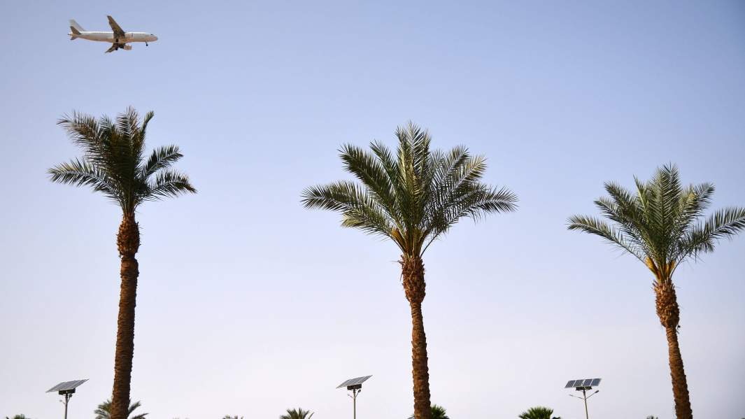 египет самолет пальмы