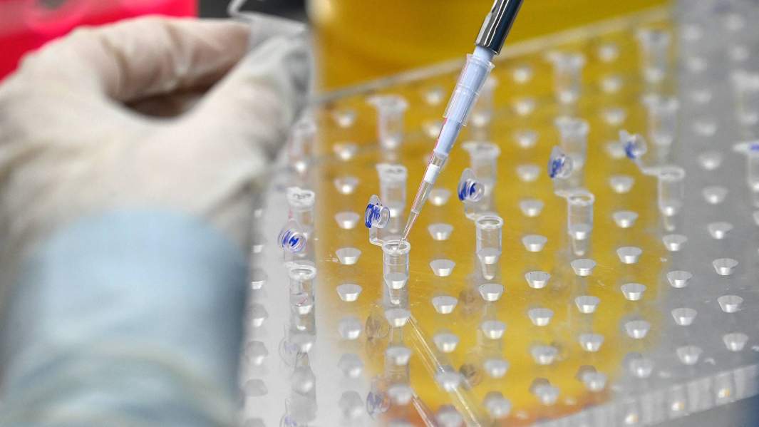 В лаборатории