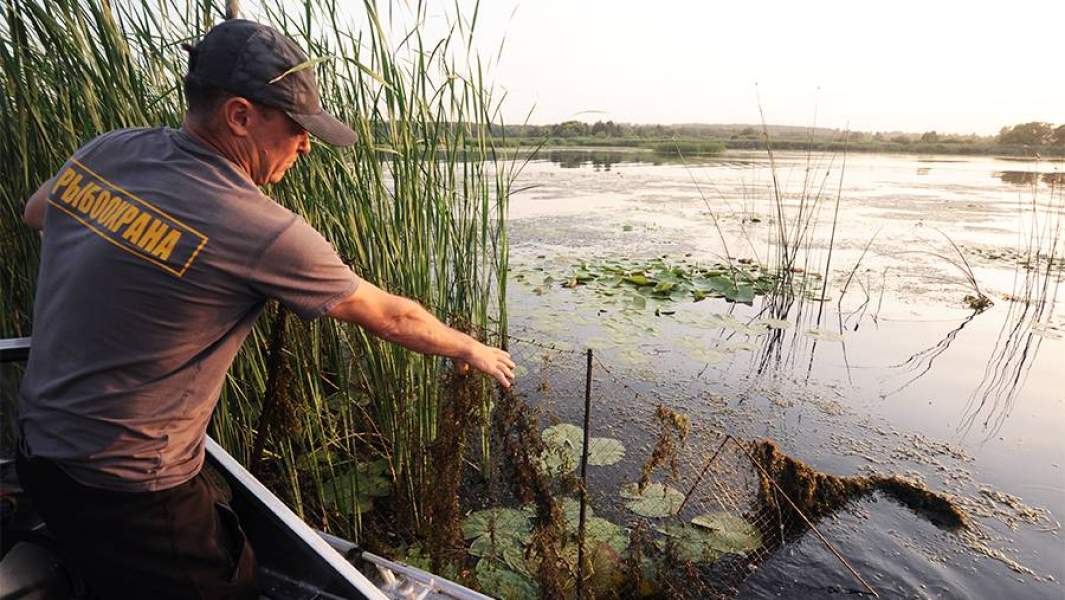 браконьерство