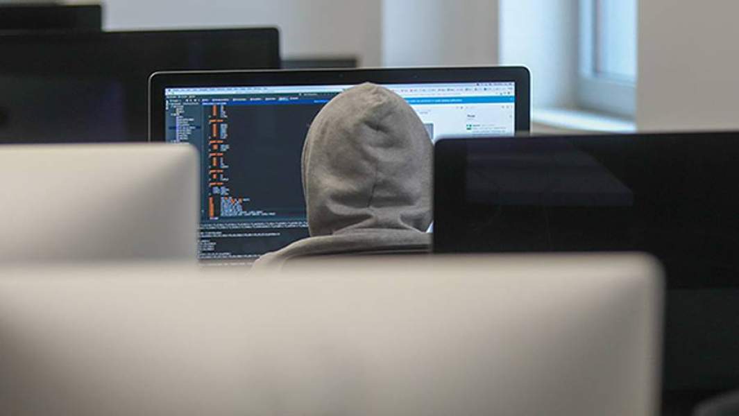 программист